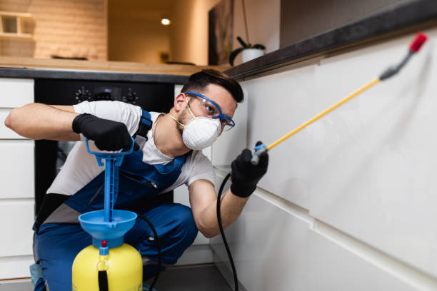 Trusted Silverton, OR Pest Control Experts