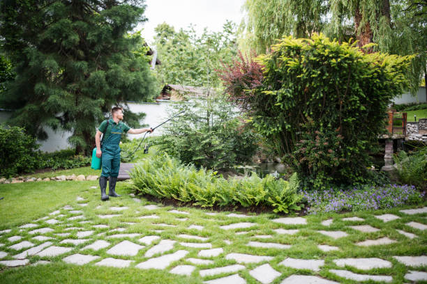 Best Pest Control Near Me  in Silverton, OR