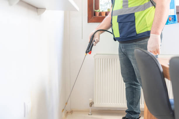 Best Termite Control Services  in Silverton, OR